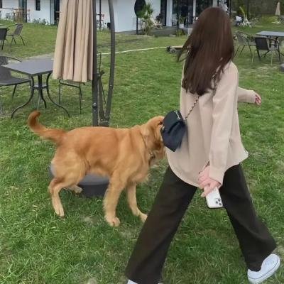 科学怪人的复仇